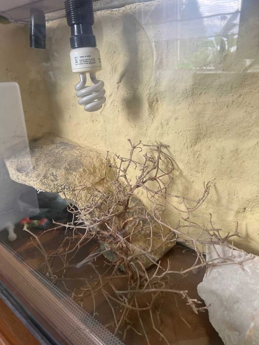 Terrarium dla gadów