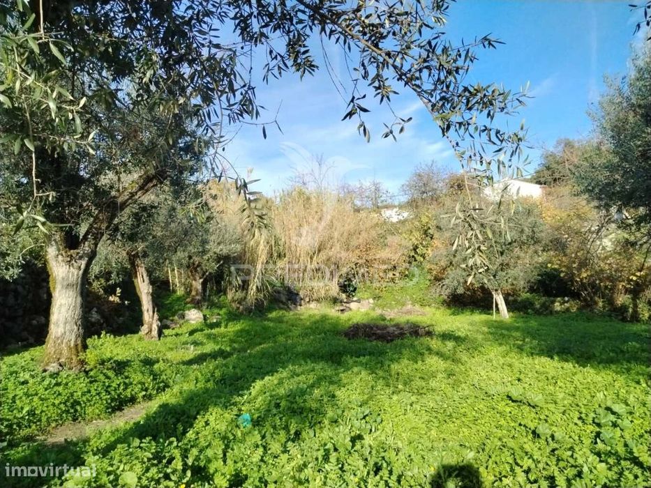Terreno Carreiras