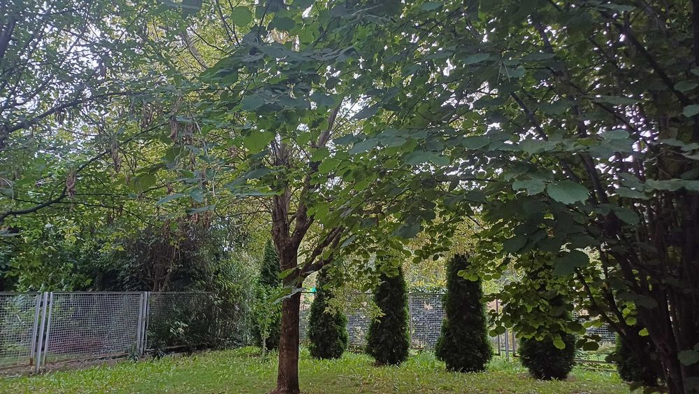 Komfortowy pokój w zadbanym domu z tarasem i ogrodem