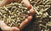 Pellets NOVA LENHA, para aquecimento, ao melhor PREÇO