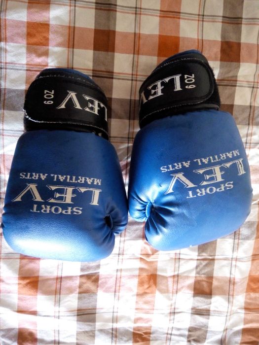 Рукавици боксёрские LEV 6 oz детские