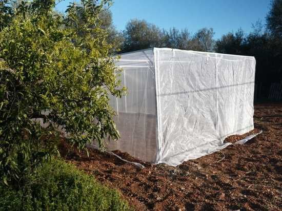 Estufa 4 x 6 m, 24 m², rede anti-trips 20x20