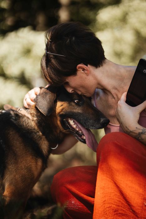 Szefuńcio – wierny towarzysz spacerów i domowego ciepła szuka rodziny!