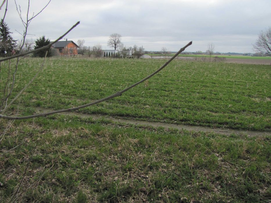 Działka 15000mkw – pohled 2