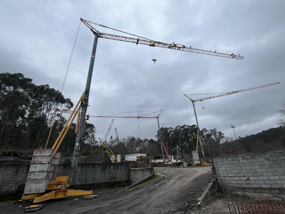 Grua automontante potain hd 25