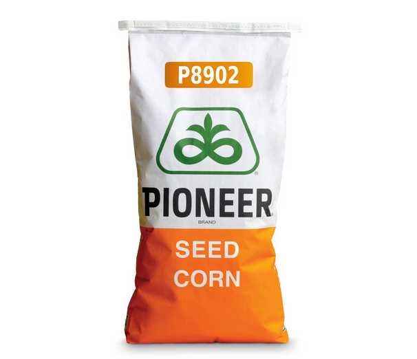 Kukurydza P8902 Pioneer promocja 10+1 gratis