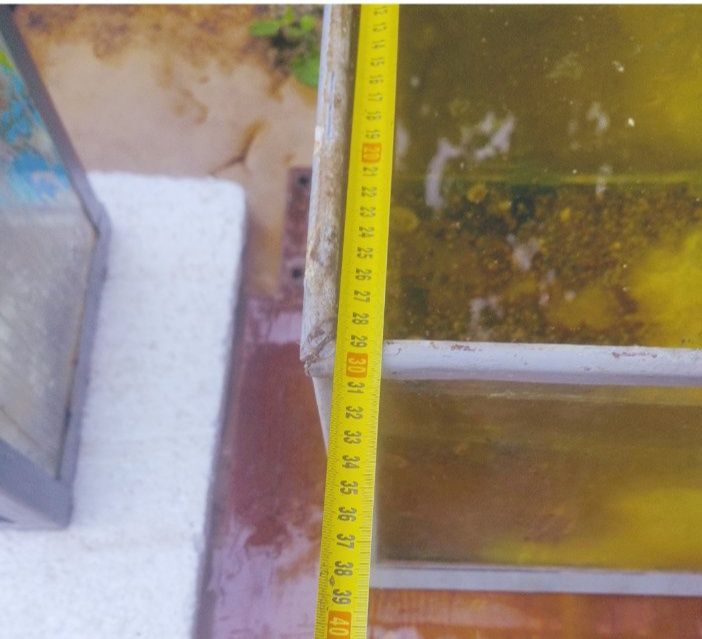 Аквариум декор террариум  не течет