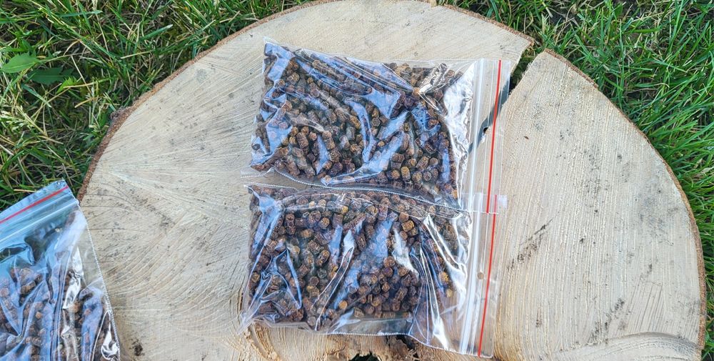 Pierzga Pszczela 100 gram