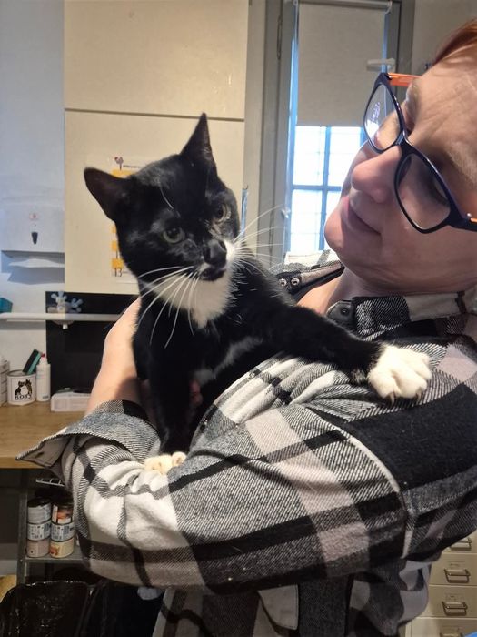 Aniołek -naczelny miziak szuka domku