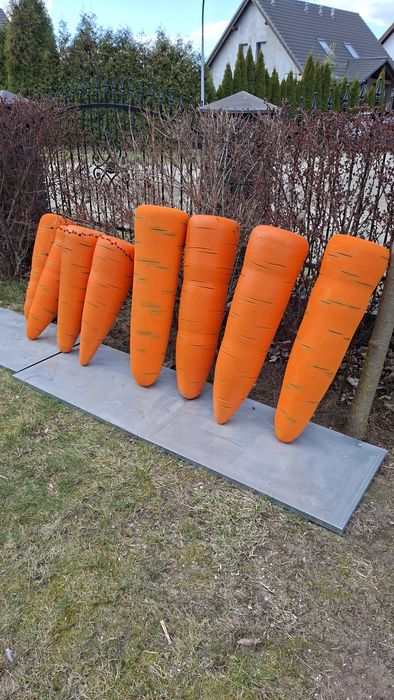 Marchewki XXL Dekoracje wielkoformatowe,witryny eventy