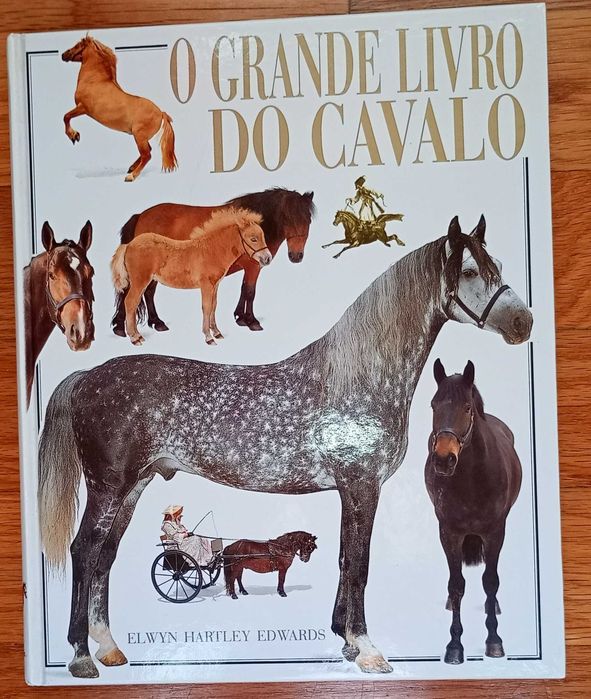 Lote de Livros em Bom Estado - Cavalos e Equitação