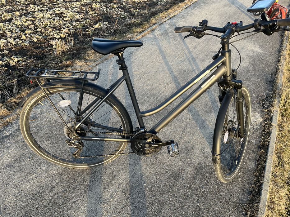 Rower  Rushhour LTD  raleigh 28”