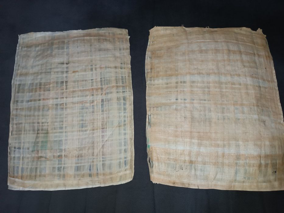 Сувенір з Єгипту - папірус