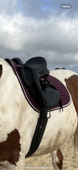 Czaprak eskadron blackberry 2013 opis!!