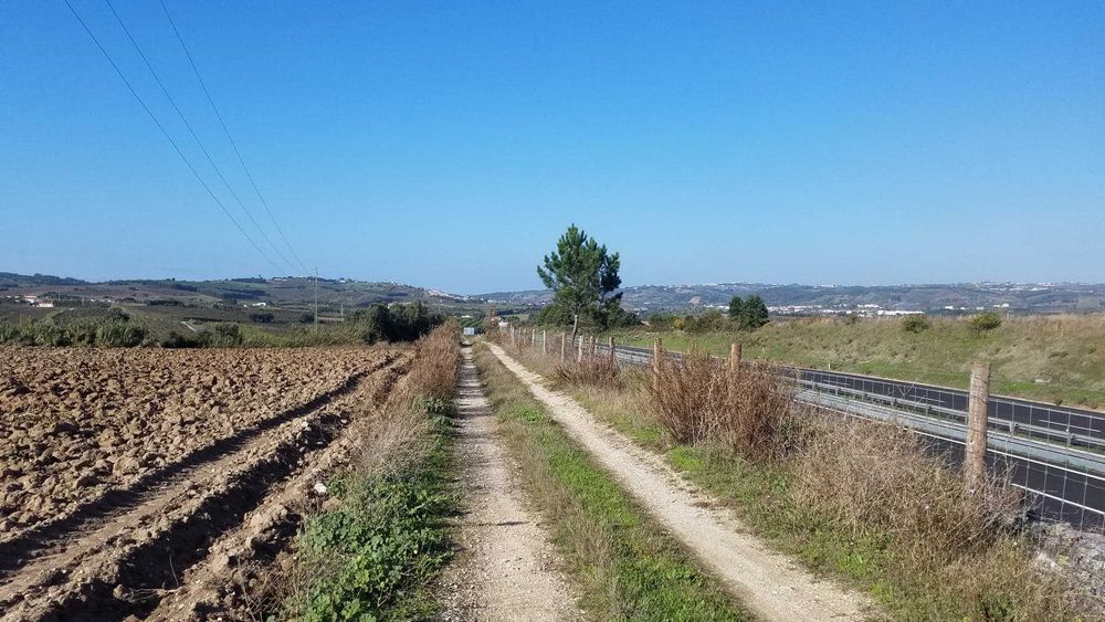 Terreno para arrendar em Bombarral junto da A8