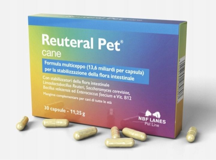 Reuteral pet cane NBF Lanes 30 kapsułek