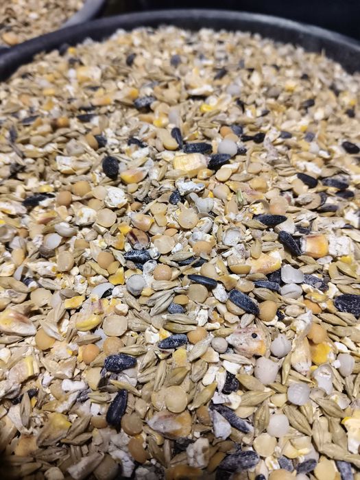 Mieszanka dla kur drobiu