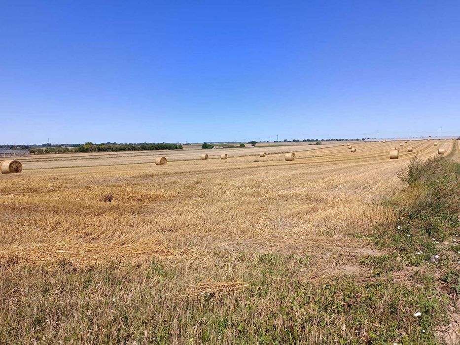 Sprzedam działkę budowlaną z gruntami rolnymi (pole, łąkę, las)
