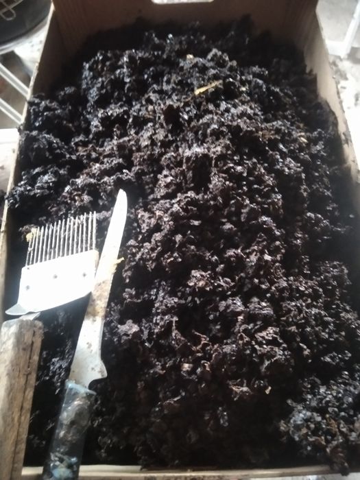 Продам мерву бджолину