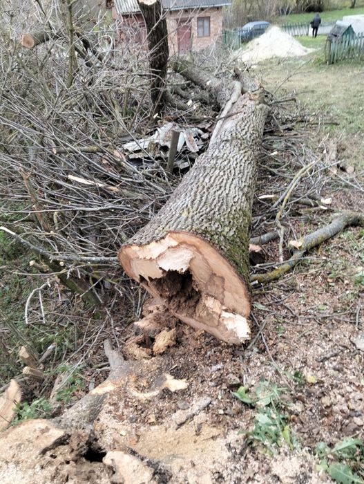 Зрізання дерев будь-якої складності!