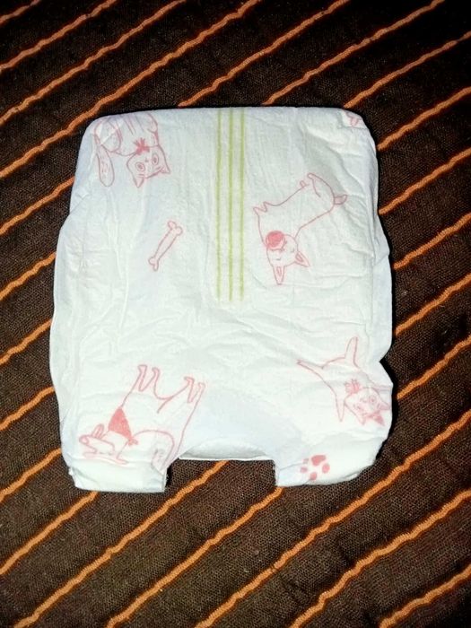 Fraldas para cadelas 2-5 kg
