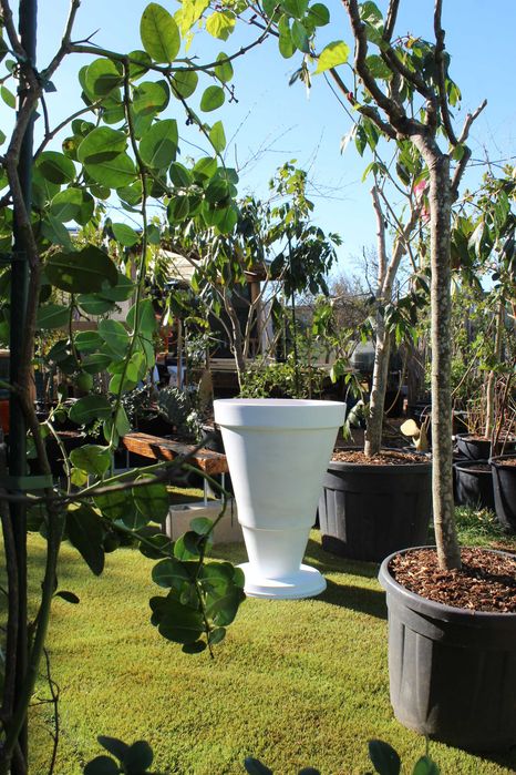 Plant pots / Vaso