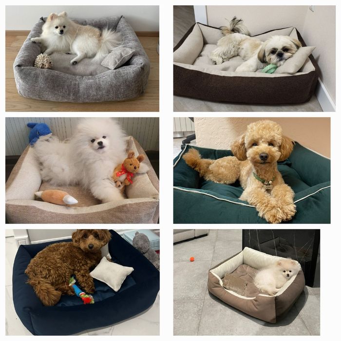 Розпродаж!!Лежанки для собак і котів