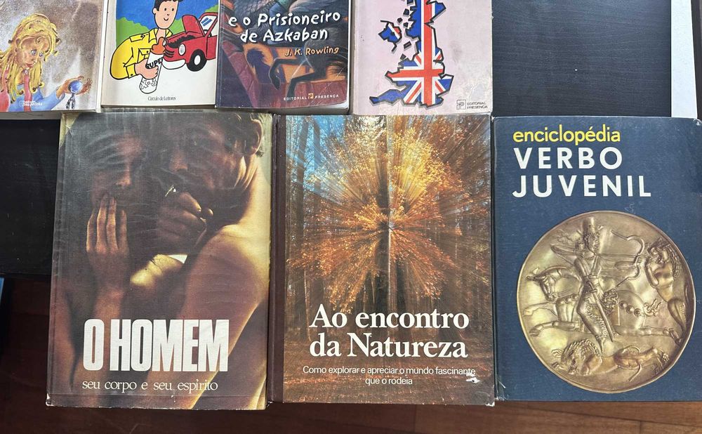 Lote de 13 livros variados — infantis, juvenis e enciclopédias