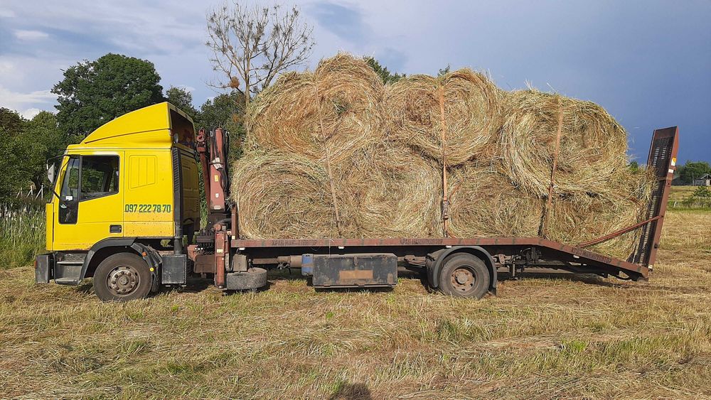 Продам сіно в рулонах