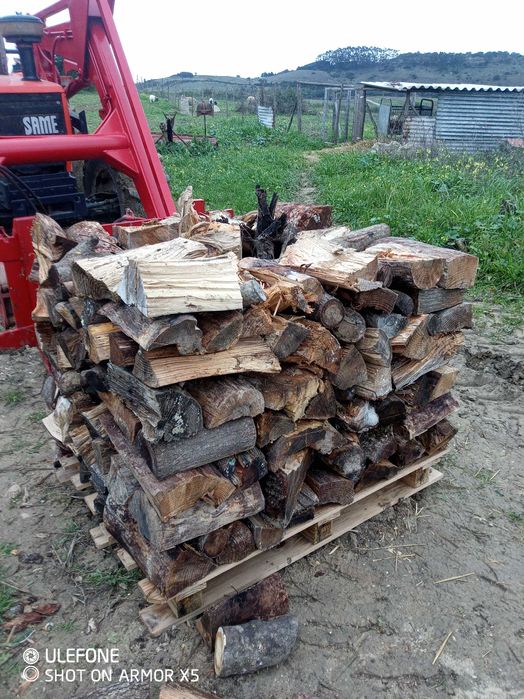 vende-se Lenha em paletes 1m³ 60€