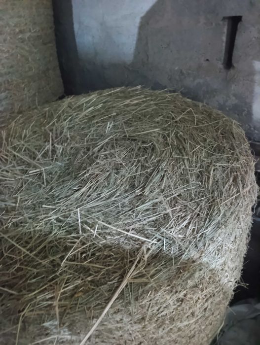 Siano ze stodoły