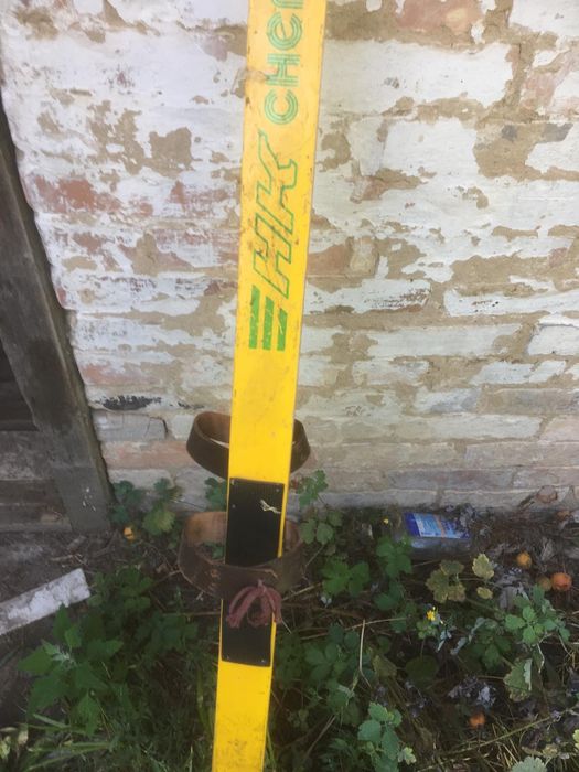 Лижі    для   дорослих