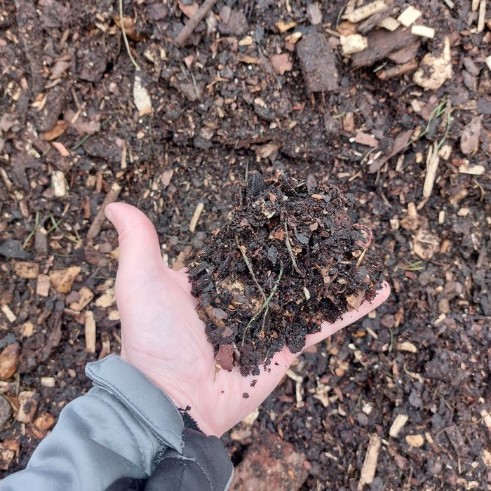 Zrębka sosnowa przekompostowana, kora sosnowa pod borówke