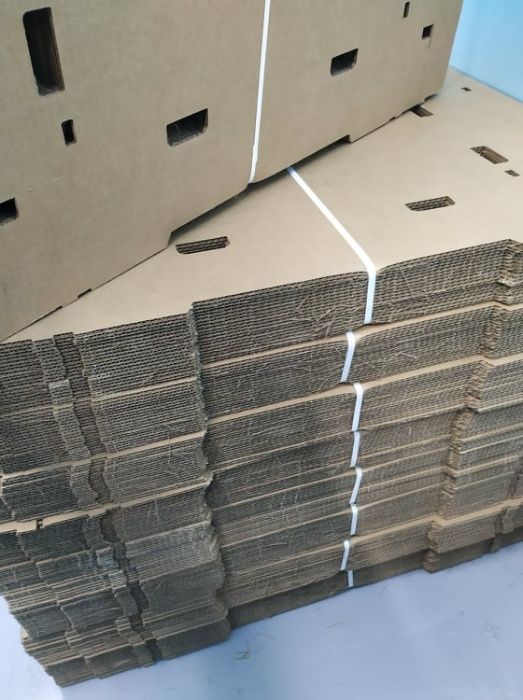 Cestas/ Caixas de cartão multiusos