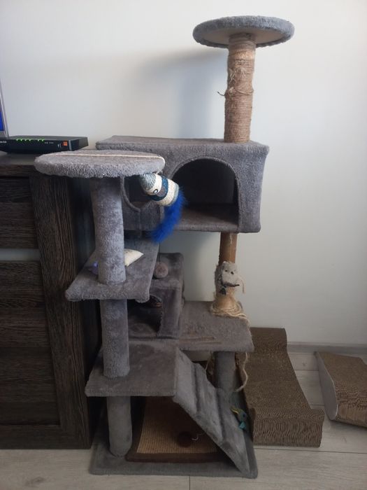 Drapak dla kota Poznań Batorego