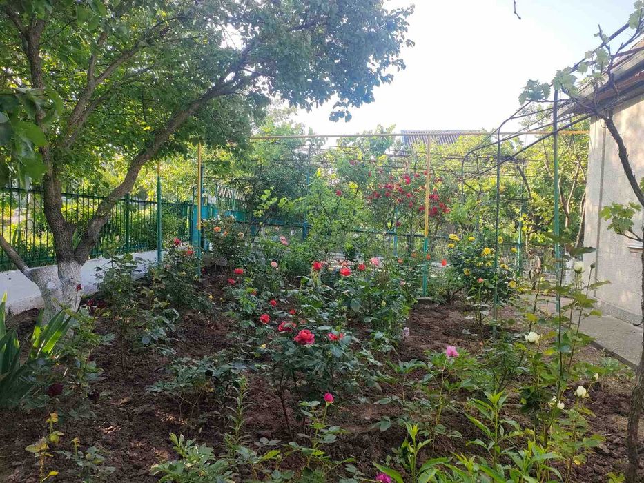 Уютный дом в пригороде!