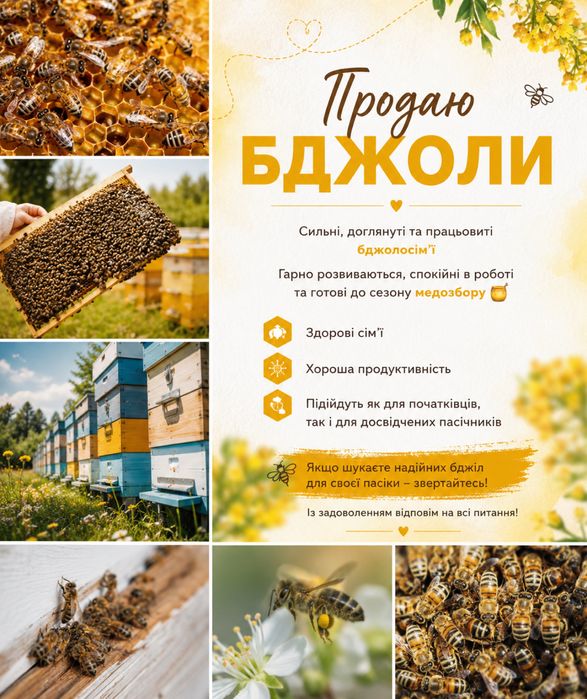 Продаю бджоли .Львівська обл!