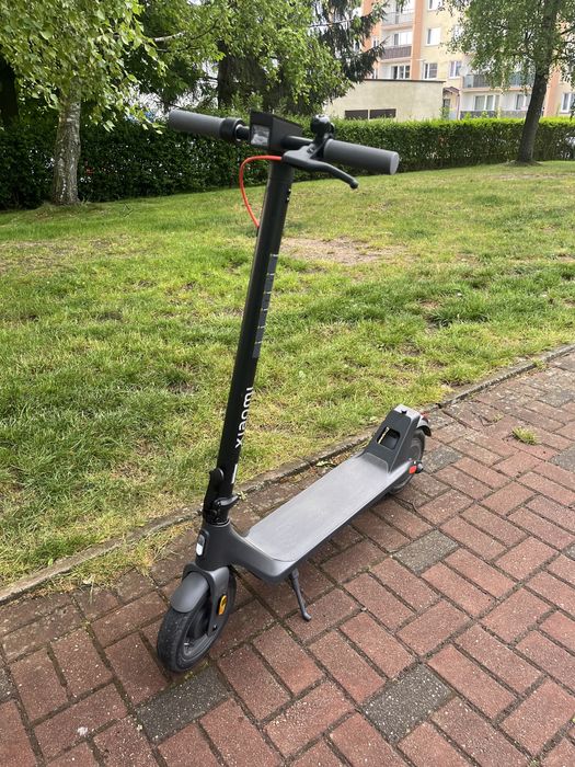 Hylajnoga elektryczna