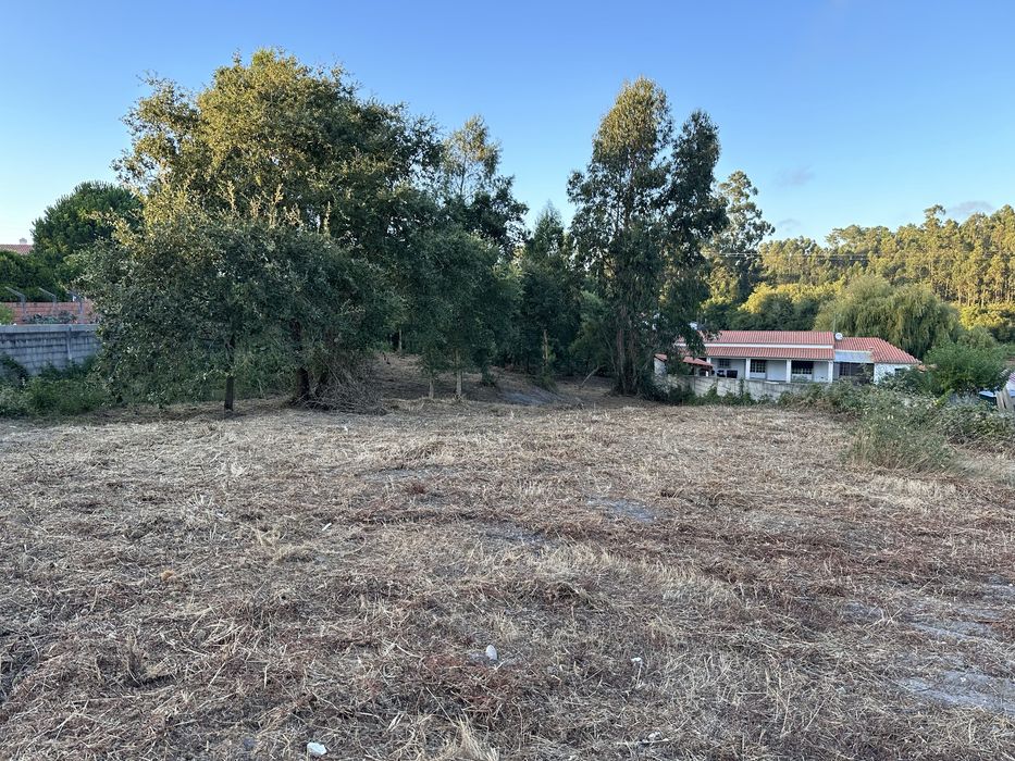 Terreno Urbanizável em Picassinos, Marinha Grande - Excelente Invest.