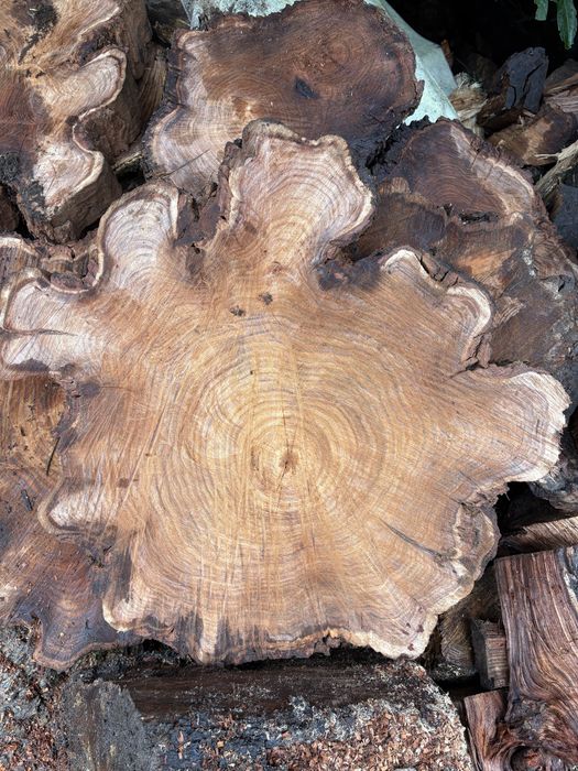 Madeira mesas de centro de Eucalyptus australiano vermelho