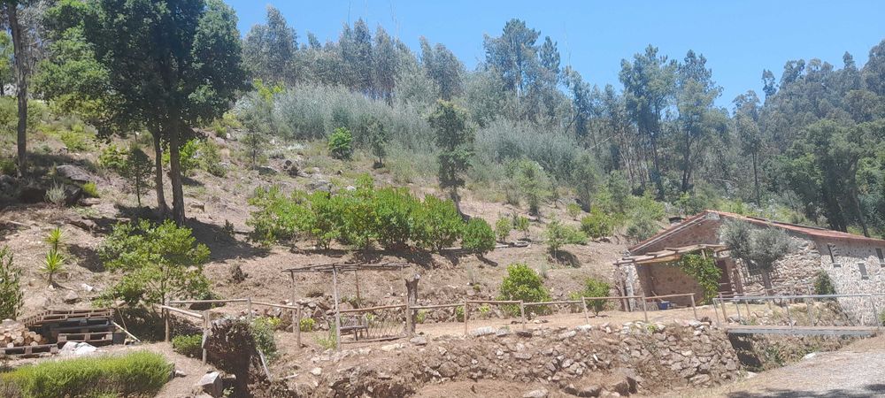 Limpezas de terrenos