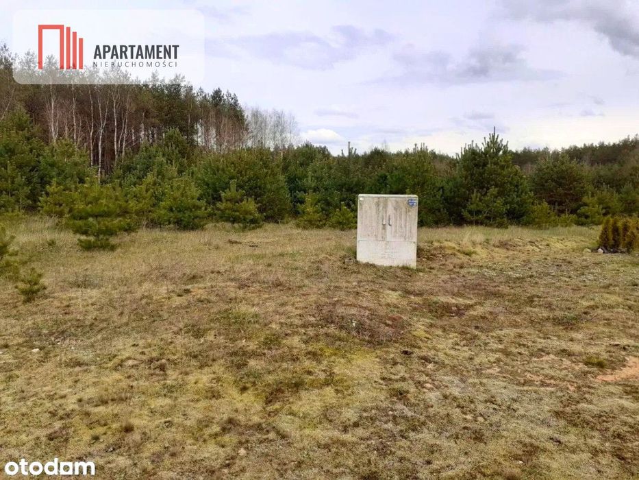 Działka z potencjałem inwestycyjnym na Kaszubach - Mehr