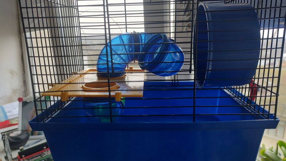 Клітина для гризунів, Хом'яків.