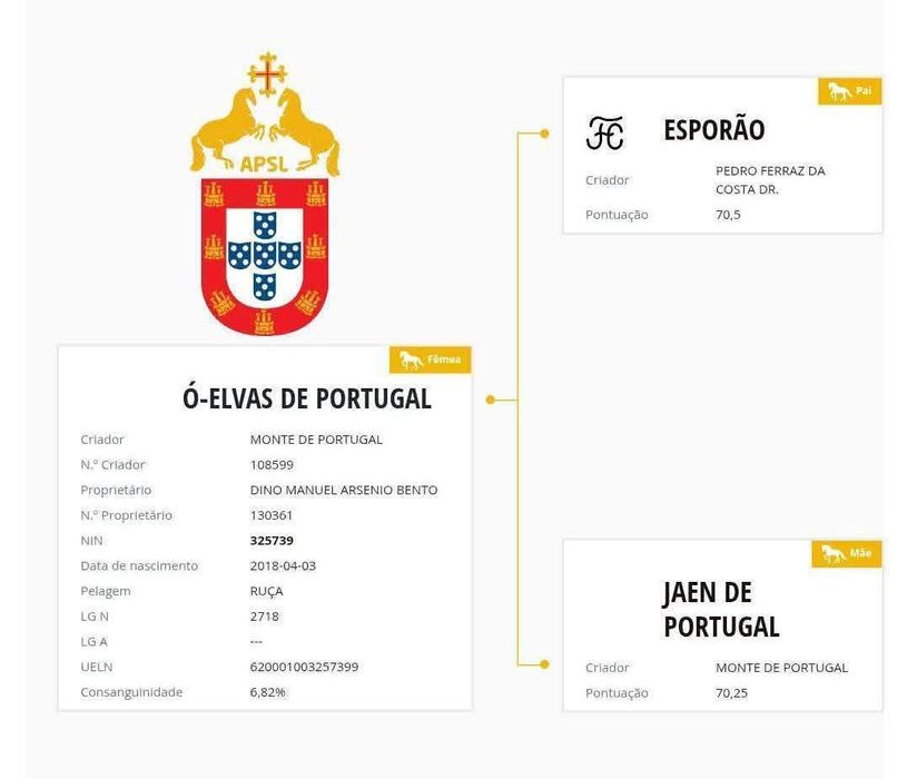 Poldros Isabel PSL Lusitano