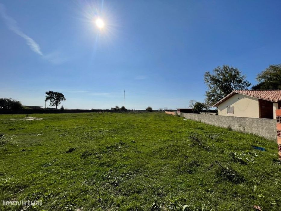 Terreno P/ Construção - Murtosa