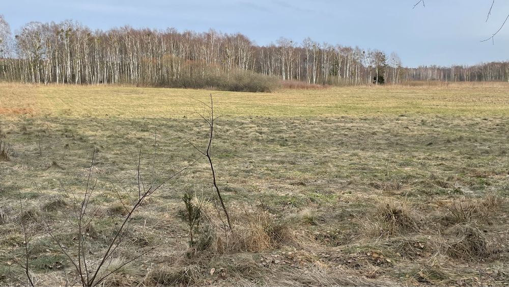 Działka rolno leśna 1,42 ha