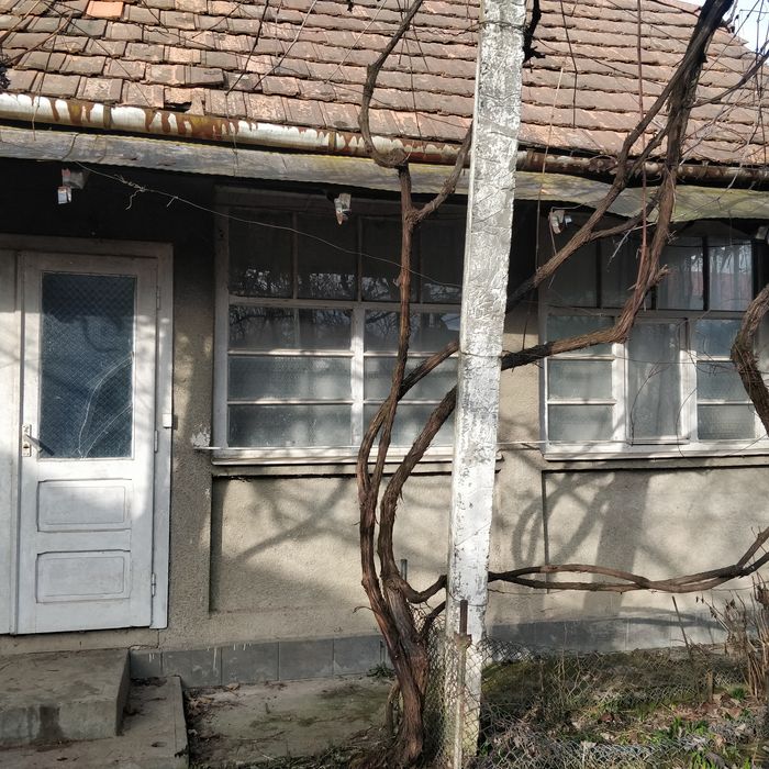 Продається будинок у с. Шаланки