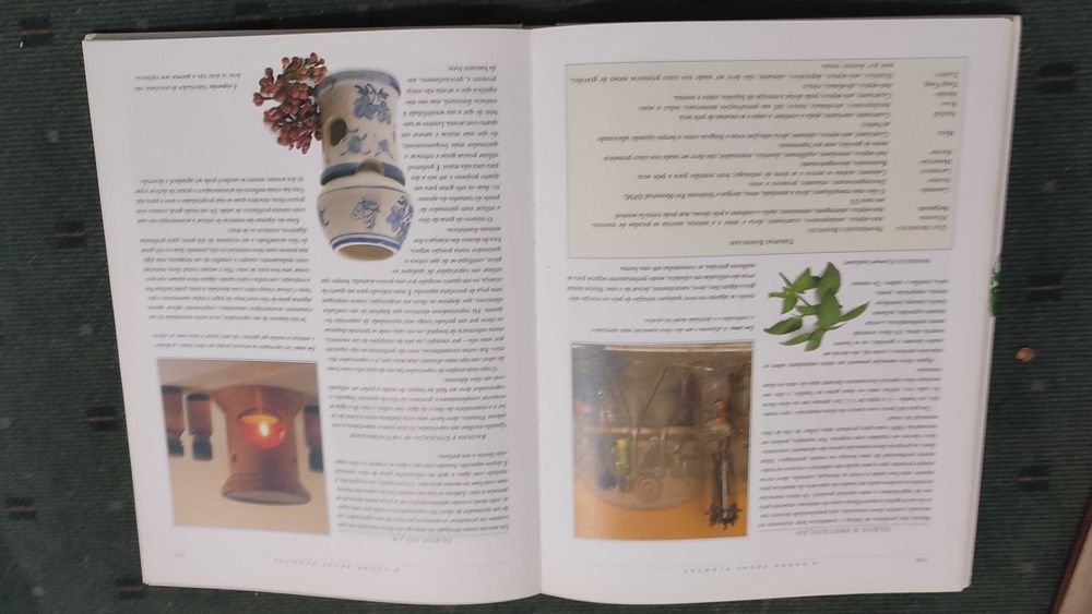 Manual Completo de Medicinas Naturais - Mark Evans