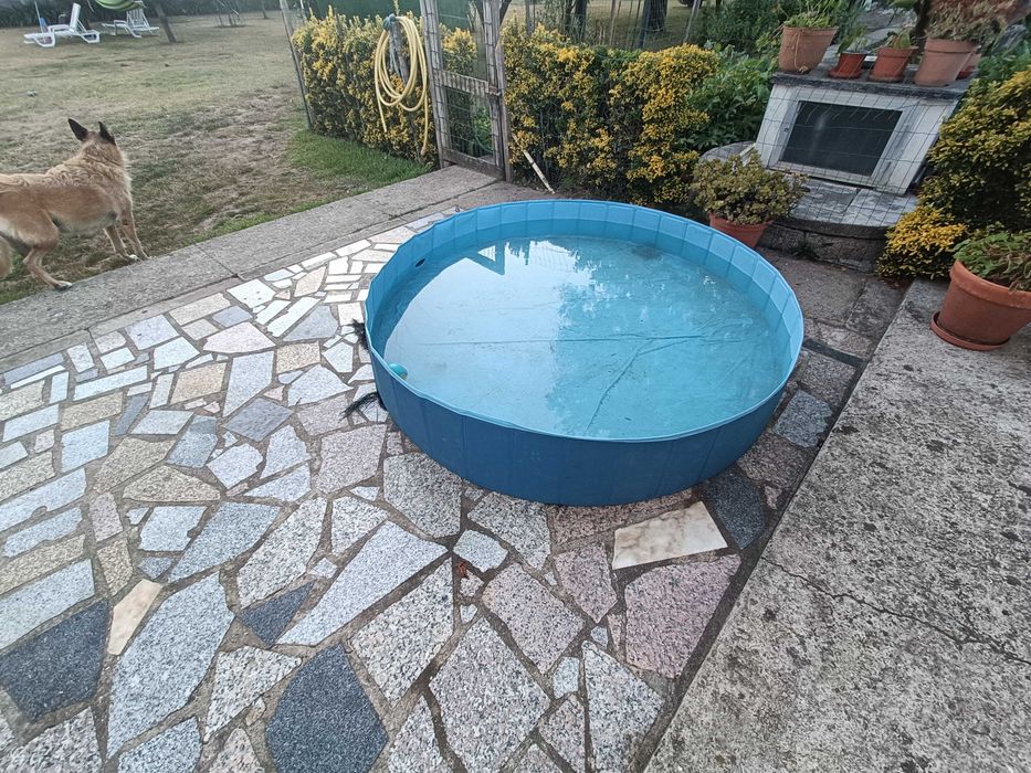 Piscina para crianças / cães com 180 cm x 30 cm