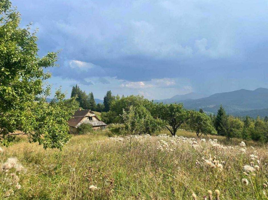 Продається земельна ділянка в Яблуниці